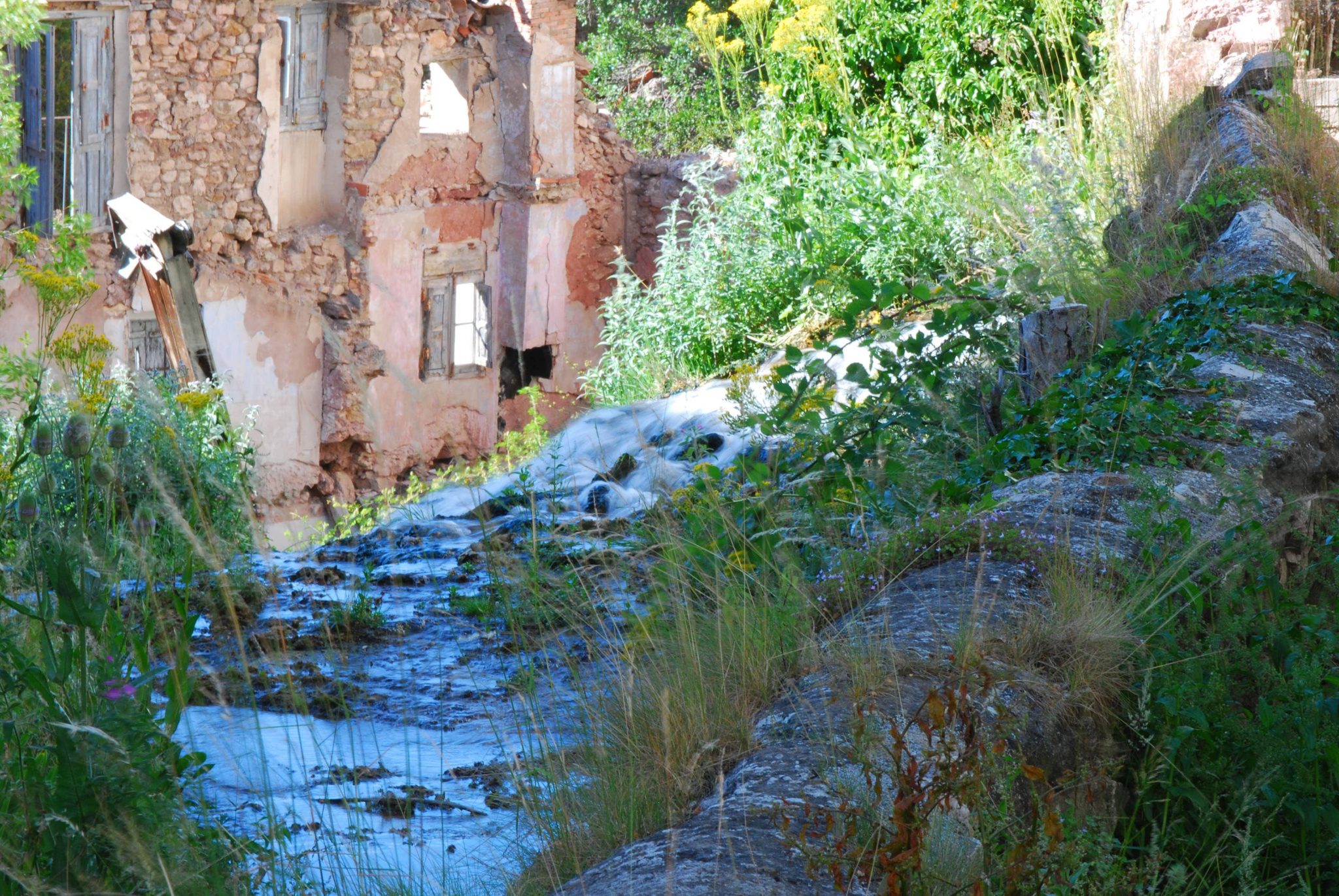 Checa. Arroyo de La Pedrera