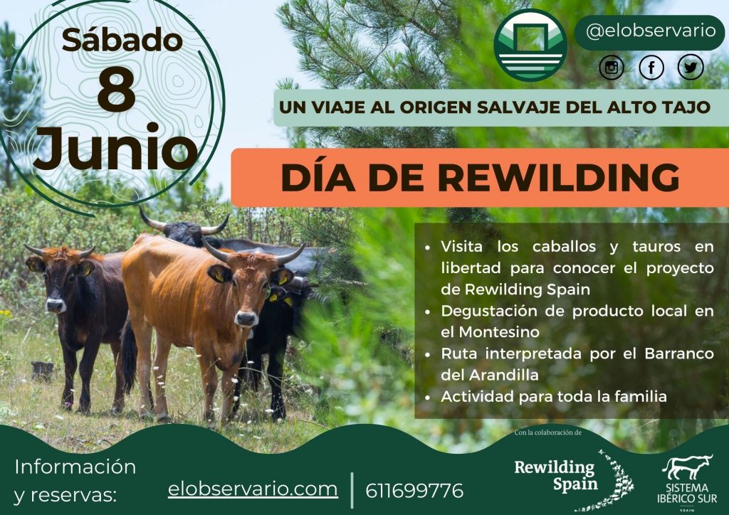 Evento 8 de junio. Día de Rewilding