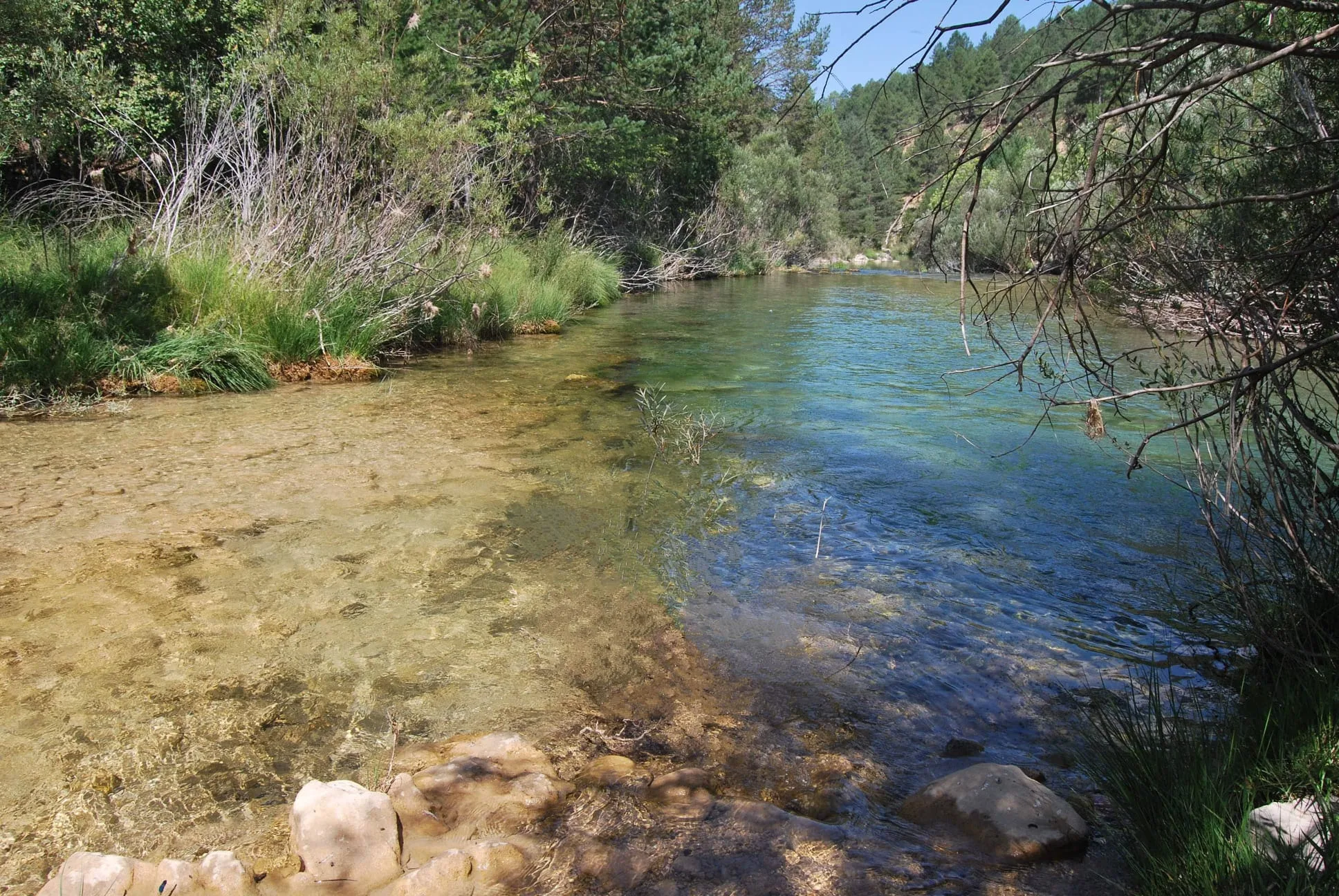 El agua: el gran tesoro del Alto Tajo 7 Juntas del río Tajo (izquierda), con el río Hoz Seca (derecha)