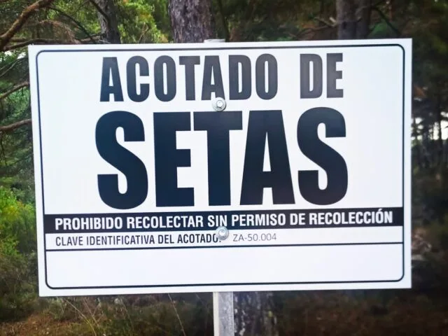 Acotados Micologicos en Molina de Aragón y Alto Tajo