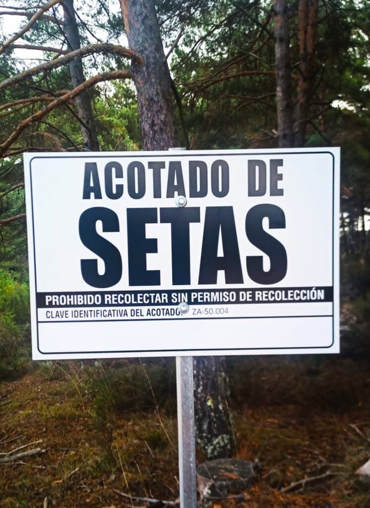 Acotados Micologicos en Molina de Aragón y Alto Tajo 1 Acotados Micologicos en Molina de Aragón y Alto Tajo