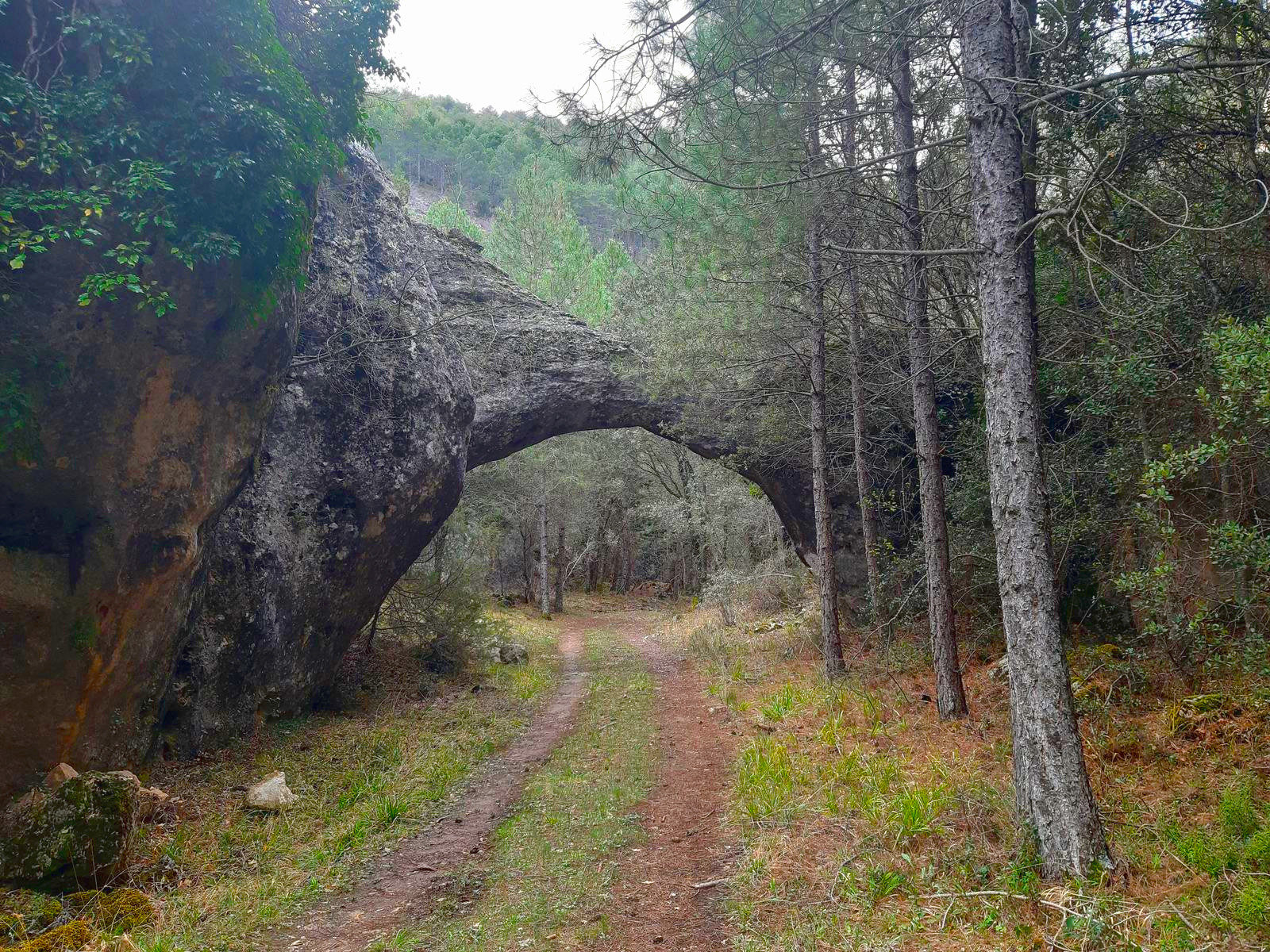 Rambla del Avellano path