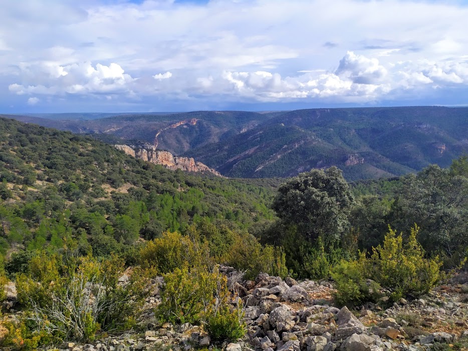 Ruta circular de Villar de Cobeta a Buenafuente del Sistal