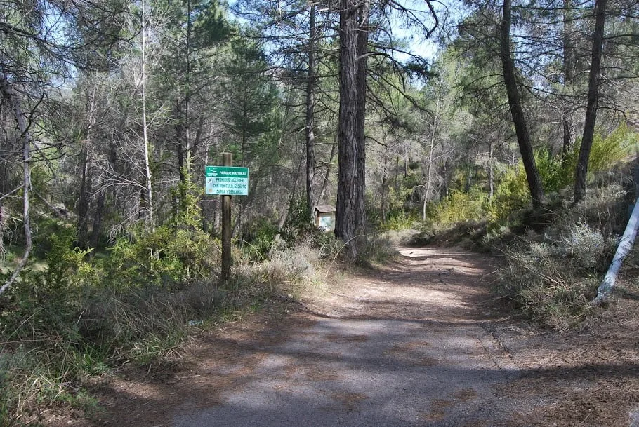 cenos