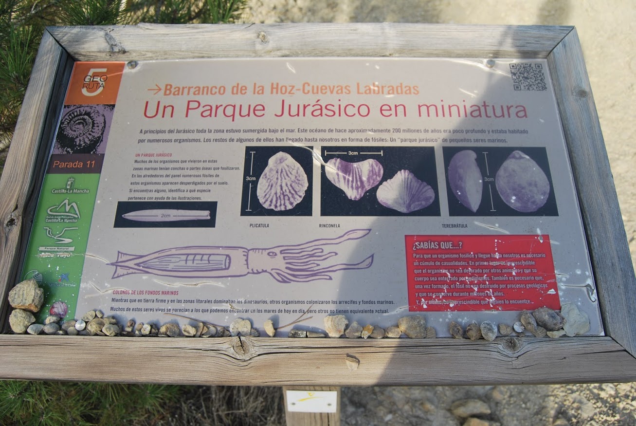 Site fossilifère de Cuevas Labradas