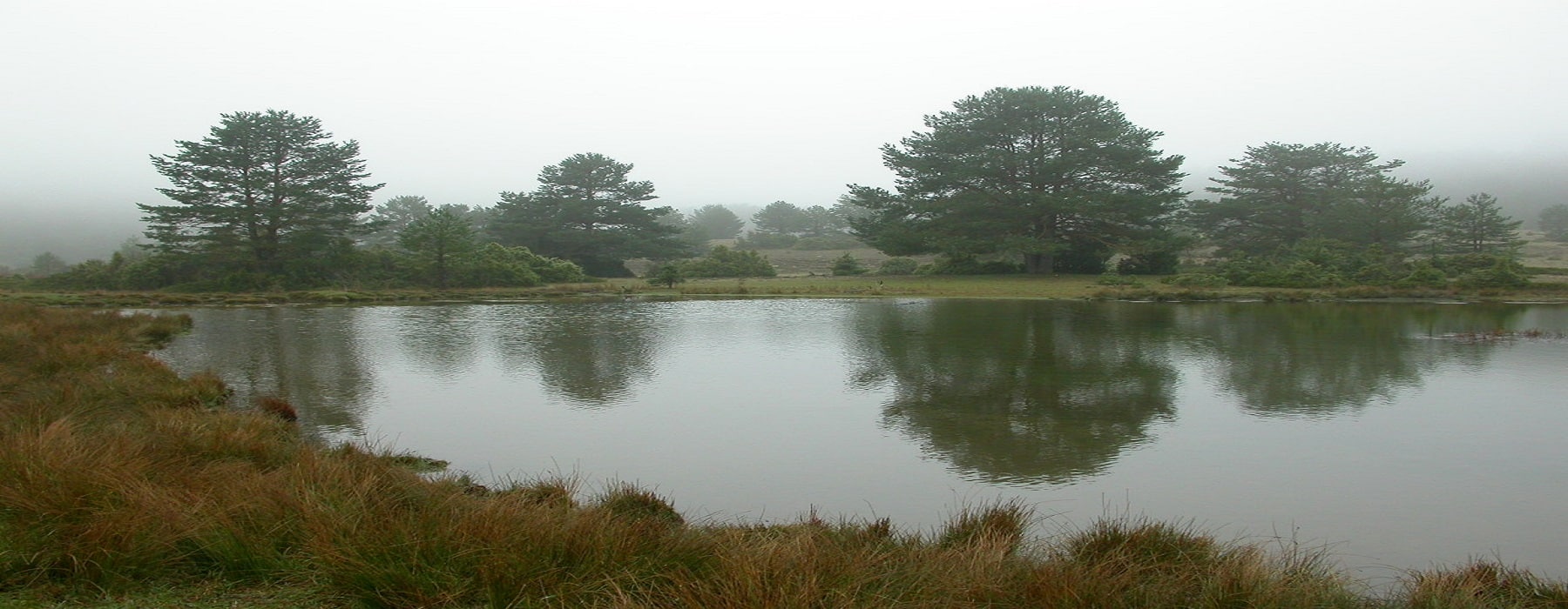 Laguna de La Salobreja