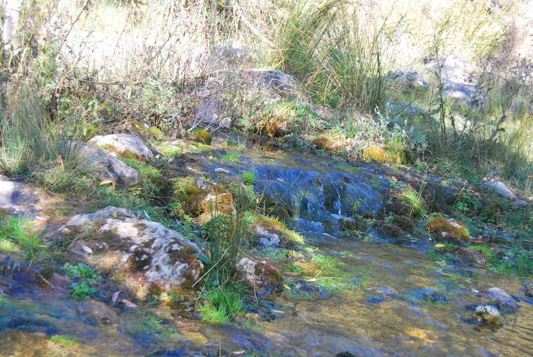 Source de la rivière Guadiela