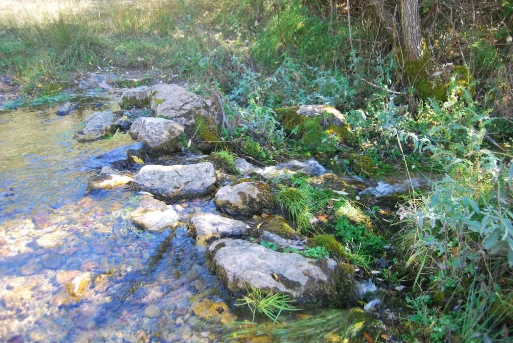 nacimiento guadiela 2 1