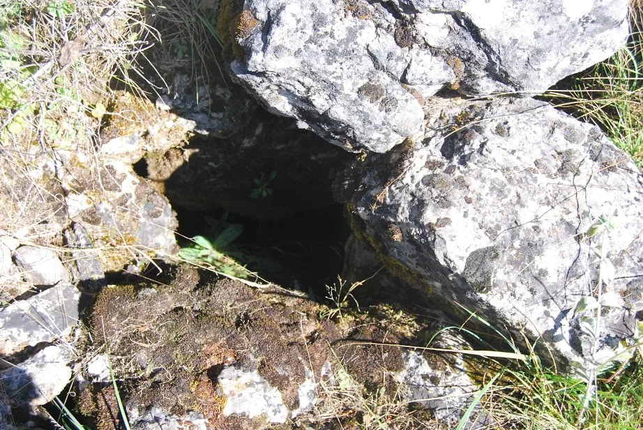 nacimiento guadiela 5