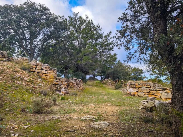 Castro Celtibérico de Peña Moñúz