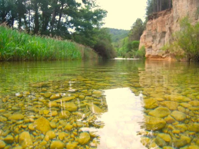 5 razones por las que el Alto Tajo es tu oasis de frescura en verano