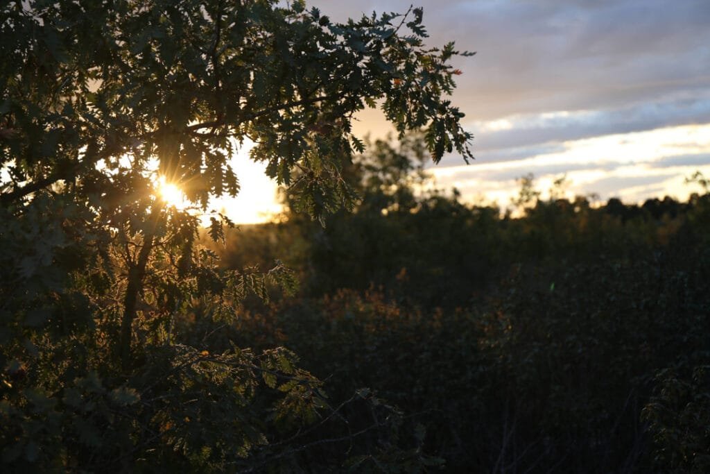 7 lugares mágicos para disfrutar del otoño en el Alto Tajo