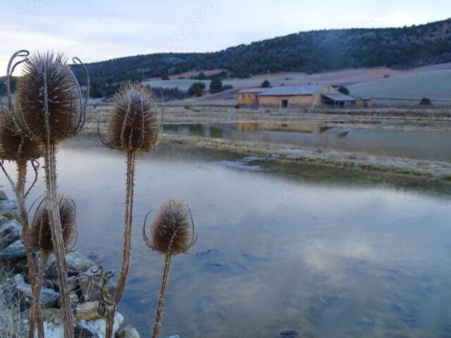 Valtablado de Beteta 15 Salinas de Armallá