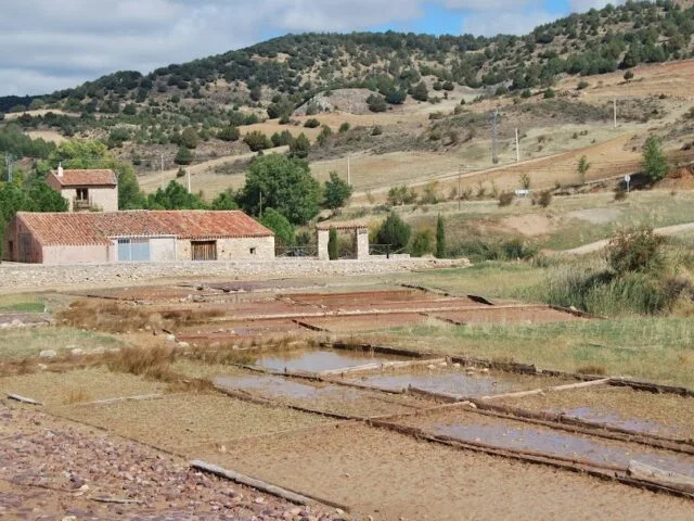 Salinas de Terzaga