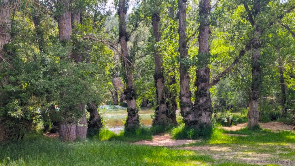 san pedro puente