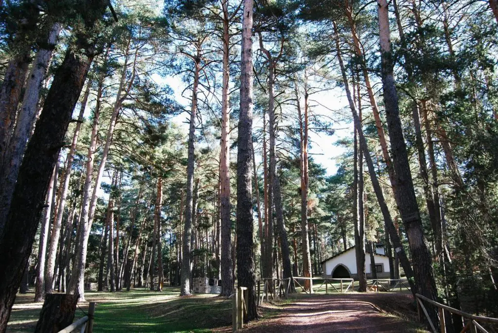 Área Recreativa Fuente de los Vaqueros 3 vaqueros3