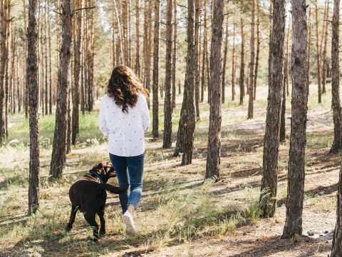 jeune femme faisant un pique-nique avec son chien